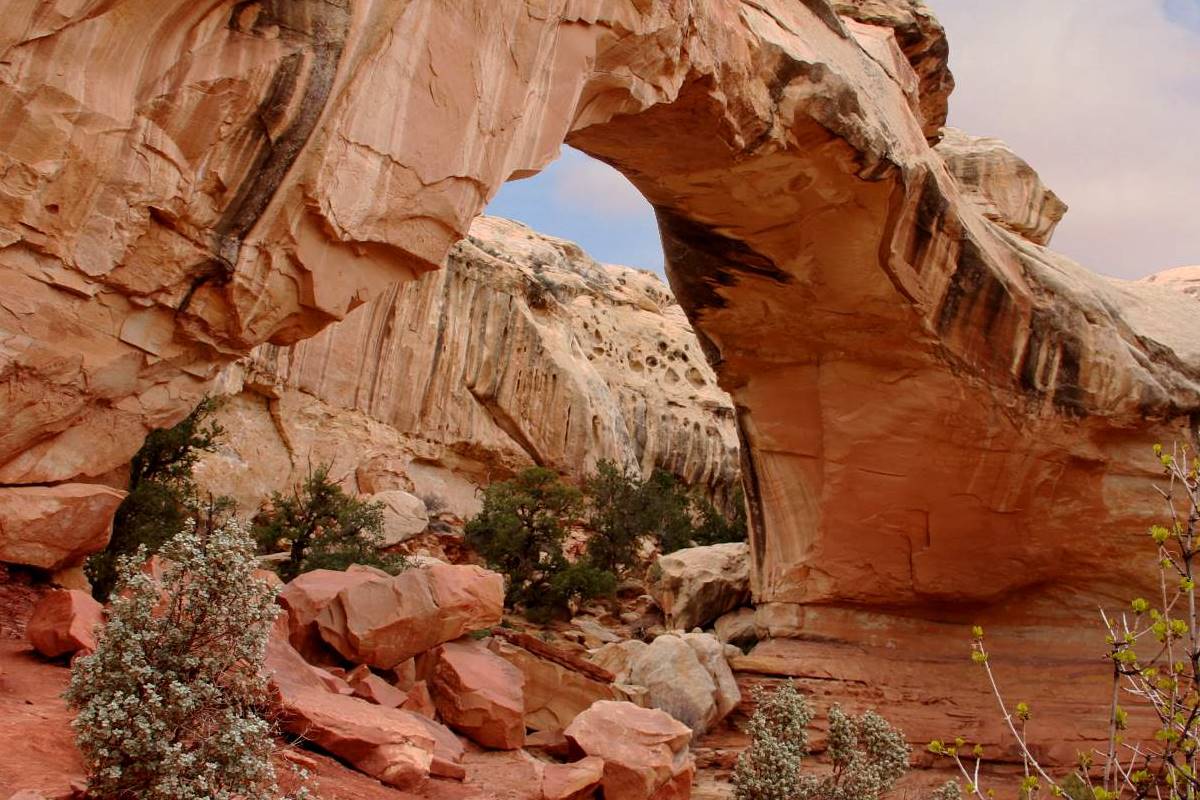 Hickman Bridge im Capitol Reef Nationalpark