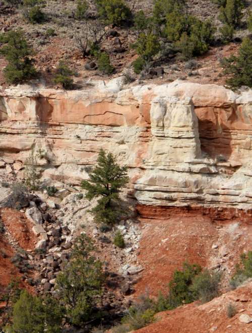 Escalante Petrified Forest State Park