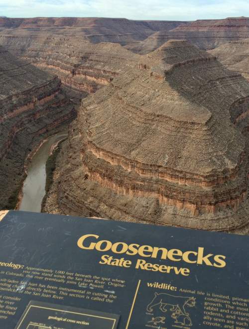 Goosenecks State Park