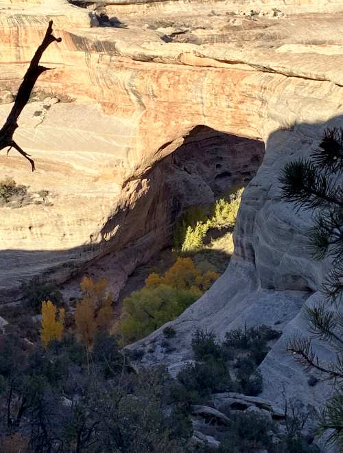 Natural Bridges National Monument