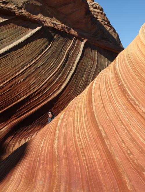 The Wave im Vermilion Vliffs National Monument