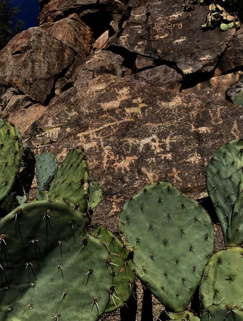 Petroglyphen im Agua Fria National Monument