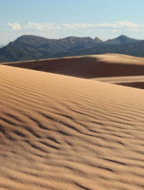 Coral Pink Sand Dunes