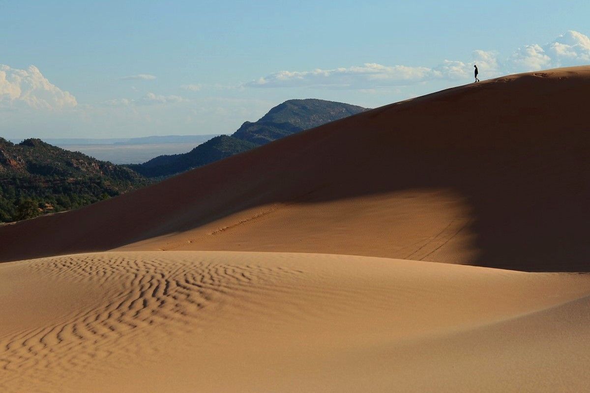 Coral Pink Sand Dunes