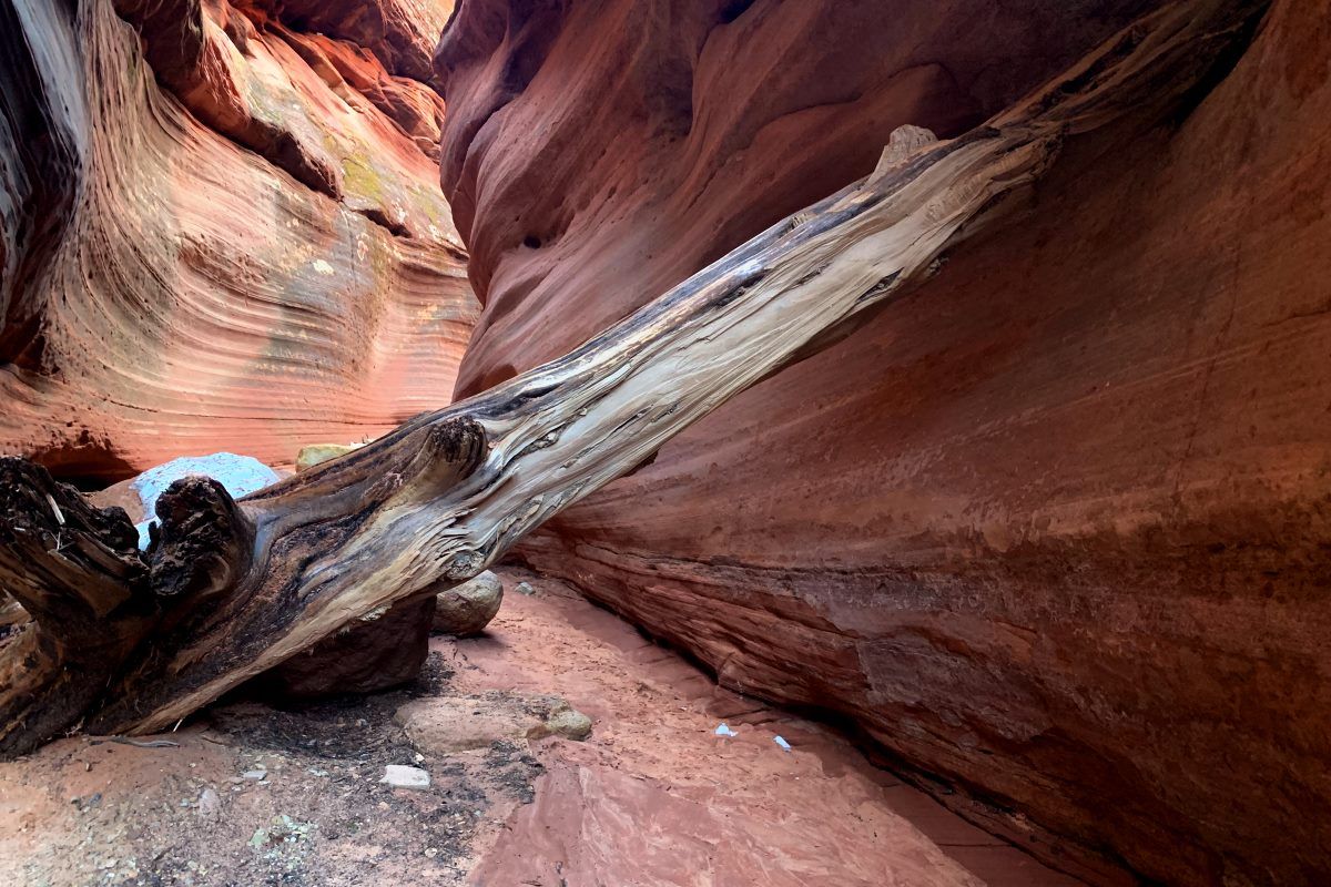 Red Canyon Kanab