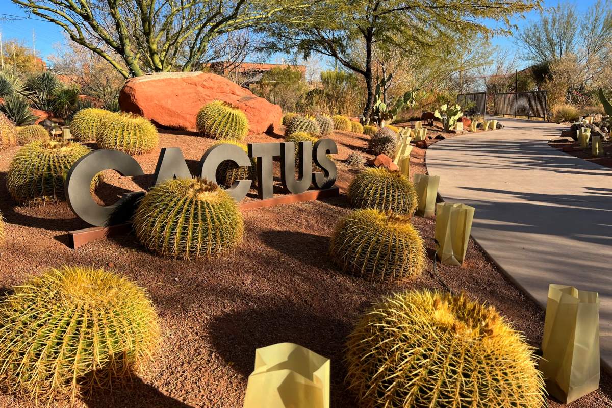 Red Hills Desert Garden in St. George