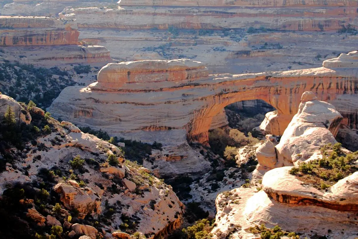 Natural Bridges National Monument